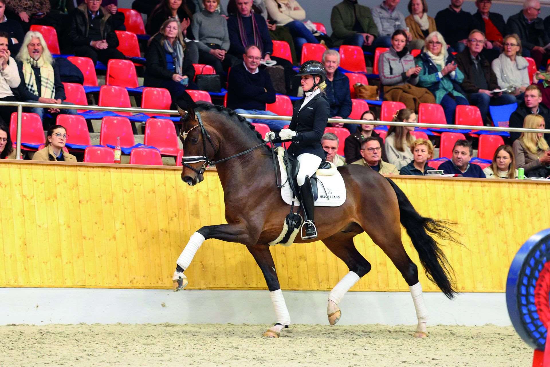 V-Power Stallion V-Power Stallion